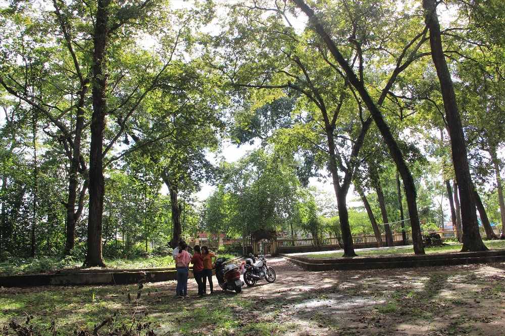 Tiện ích xung quanh Setia Edenia tràn ngập sắc xanh